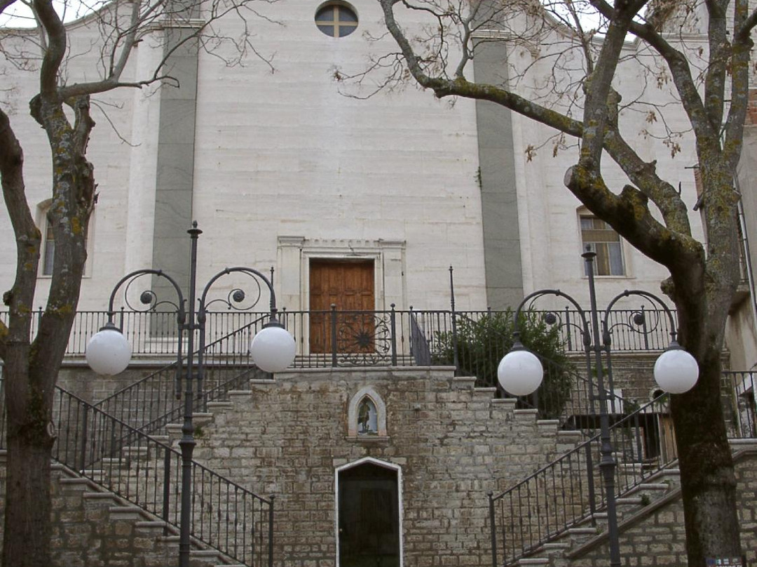 Chiesa e Santuario di San Rocco景点图片