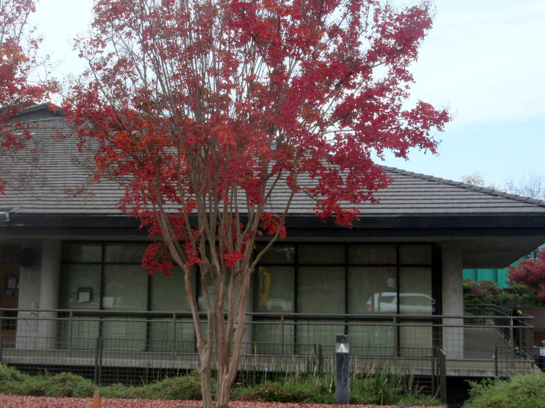 Gekkeikan Sake-佛森必去景点