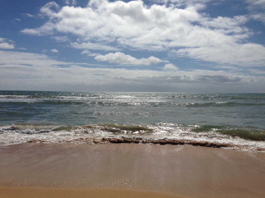 Binningup Beach景点图片
