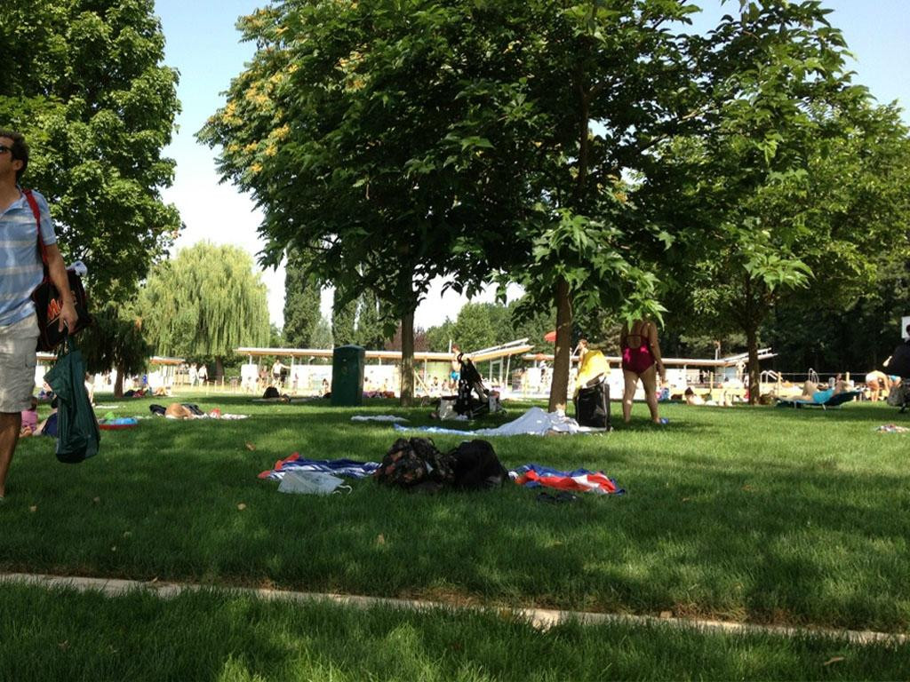 Piscine Du Wacken景点图片