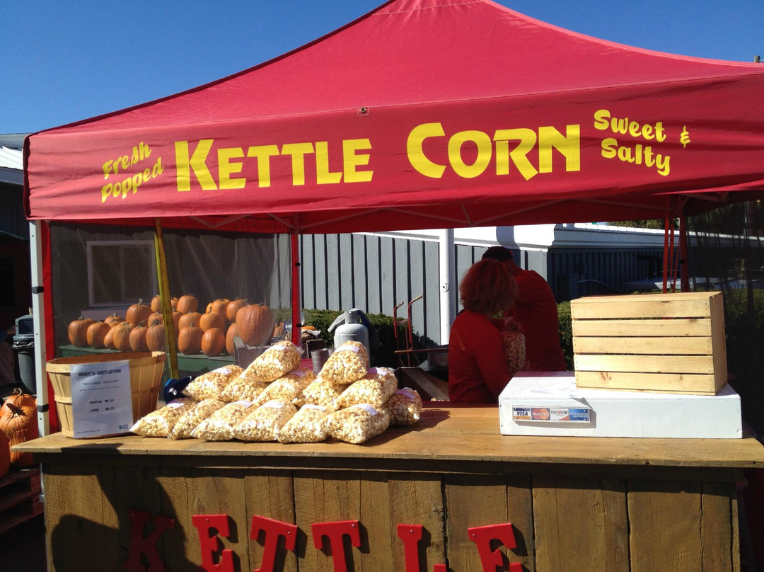 Bolton Orchards-Bolton必去景点