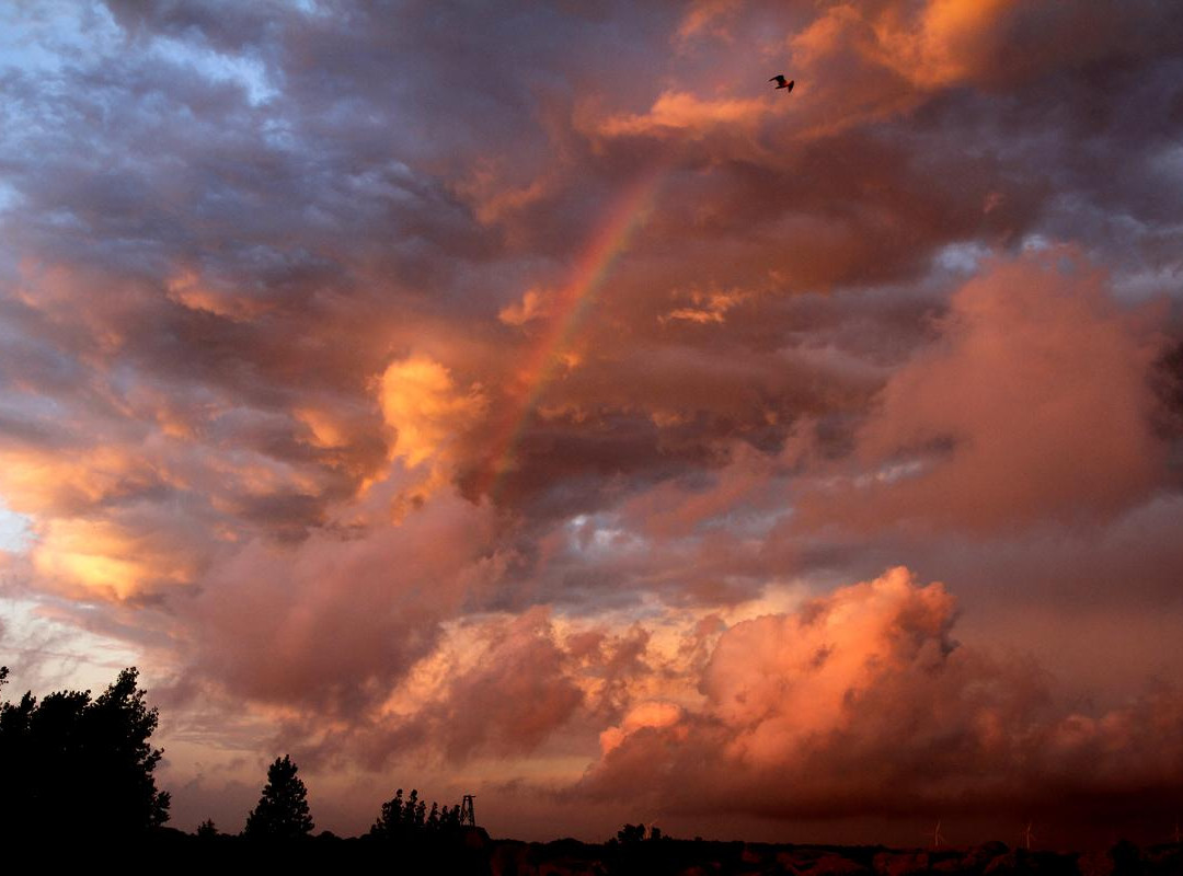 Port Burwell Provincial Park-Port Burwell必去景点