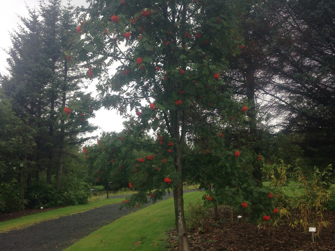 Laugardalur Park-雷克雅未克必去景点
