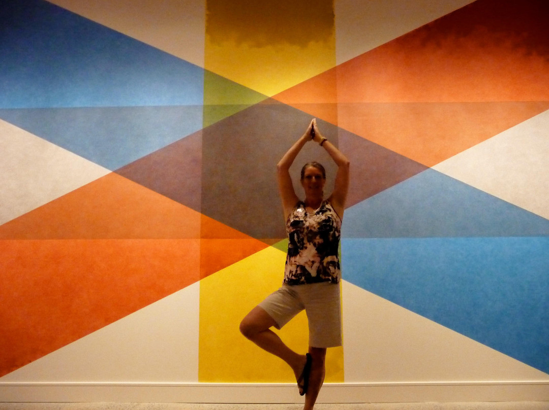Asheville Art Museum景点图片