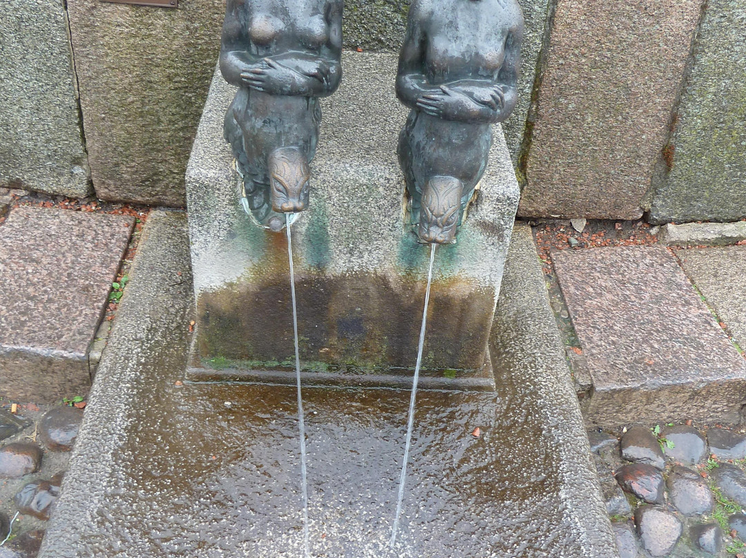 Wasserkunst景点图片