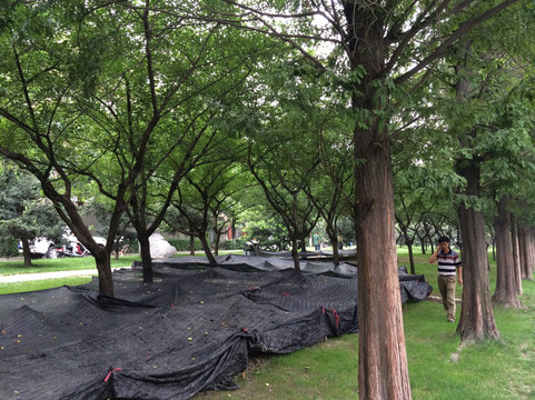 北湖公园-成都必去景点