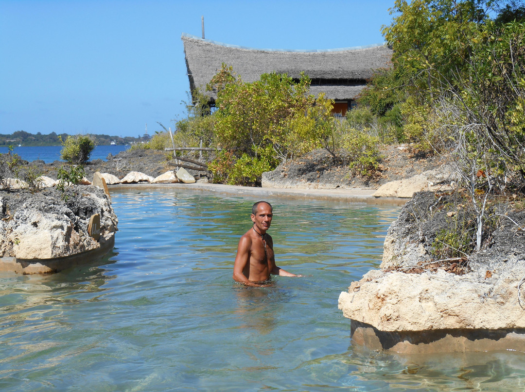 Wasini Island-Shimoni必去景点