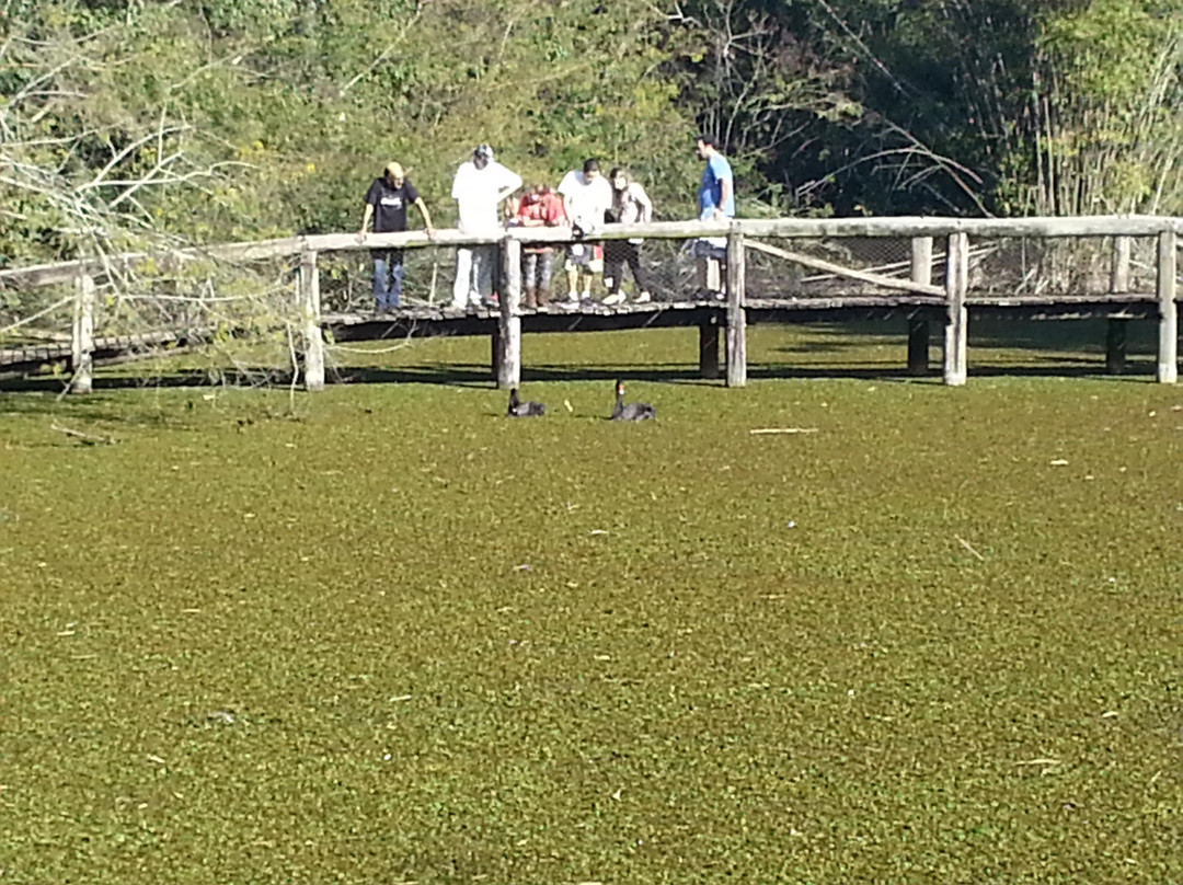 Jardim Botânico-阿雷格里港必去景点