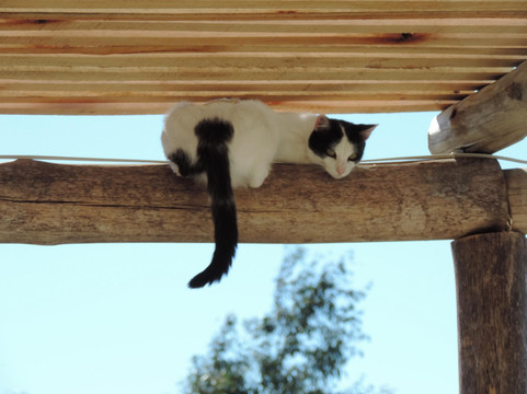 Chacra el refugio-马德林港必去景点