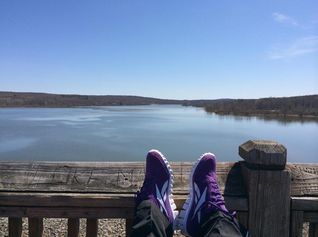 Woodcock Lake Park景点图片