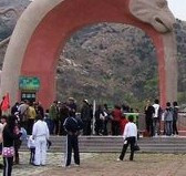 青岛森林野生动物世界-青岛市必去景点