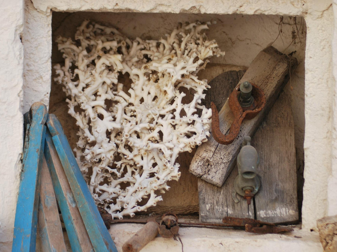 Museo della Conchiglia e del Corallo-Palmariggi必去景点