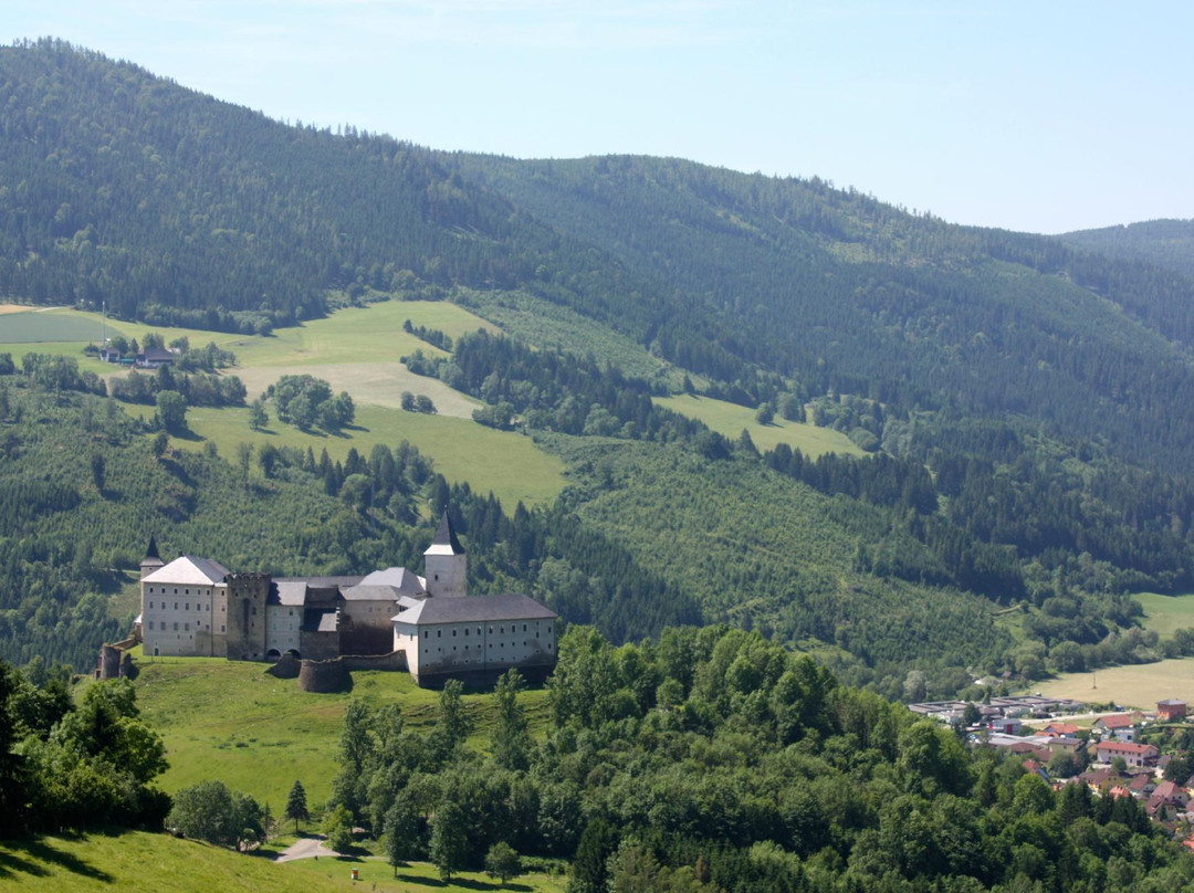 Strasbourg Castle主图