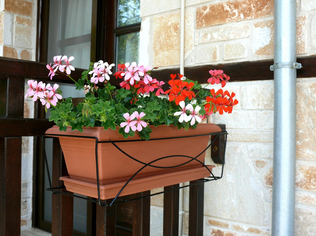 Petrini Gonia Guesthouse主图