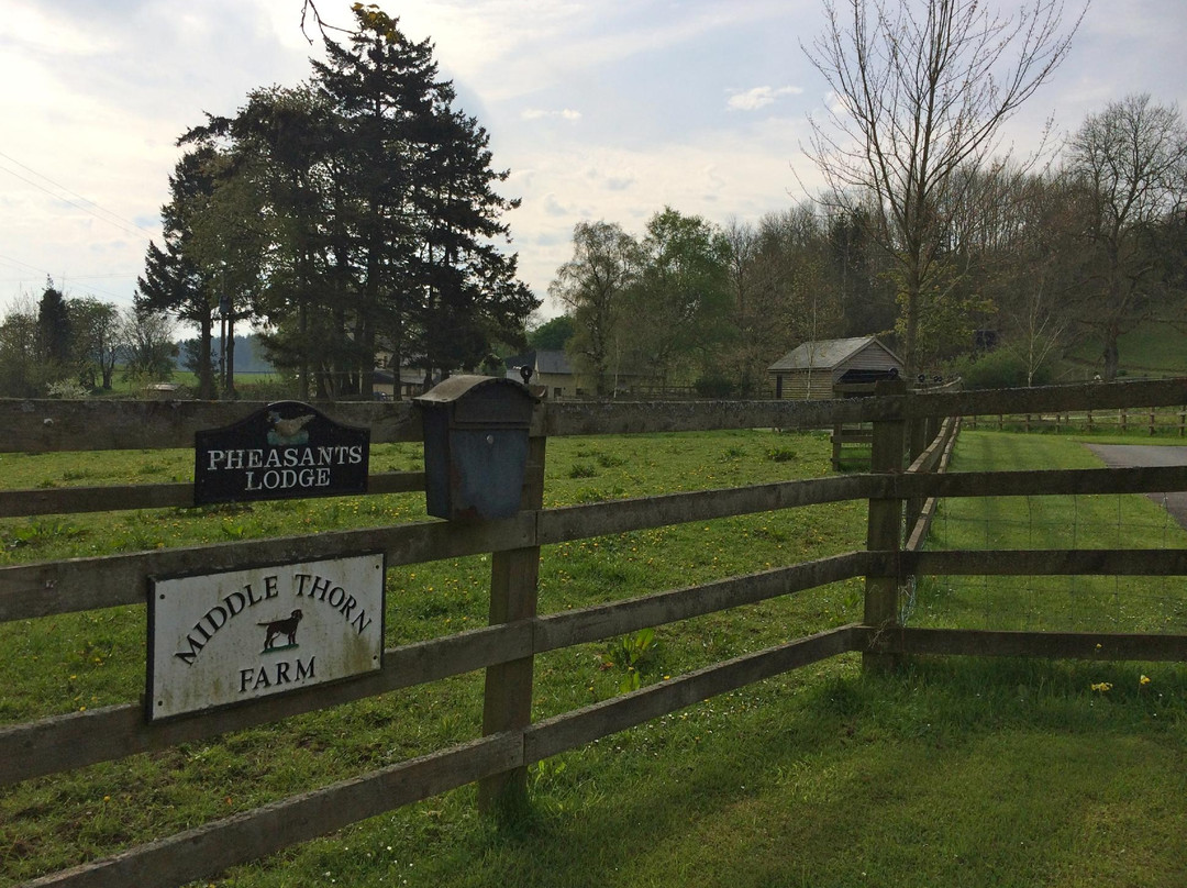 Middle Thorn Farm