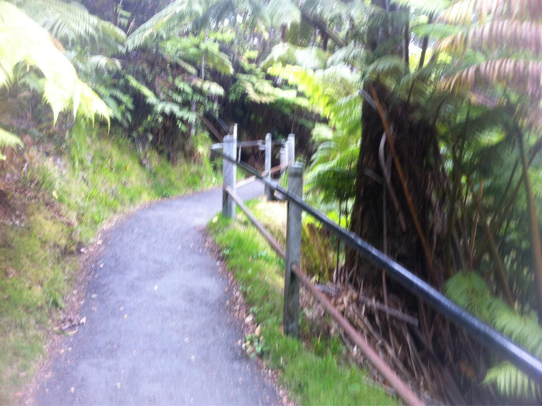 瑟斯顿熔岩隧道-夏威夷火山国家公园必去景点