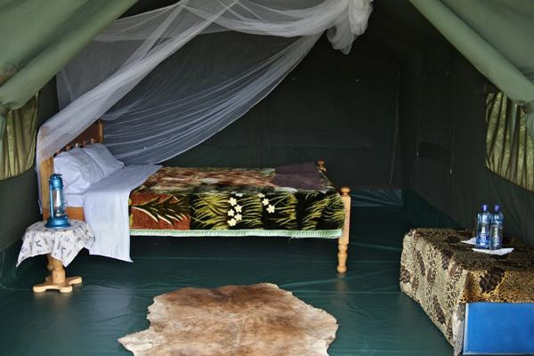 Fisi Camp