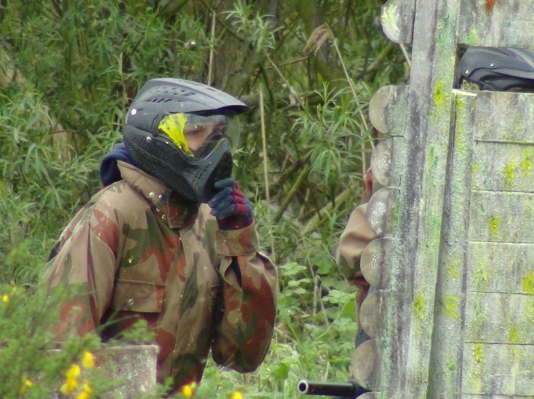Delta Force Paintball Upminster景点图片