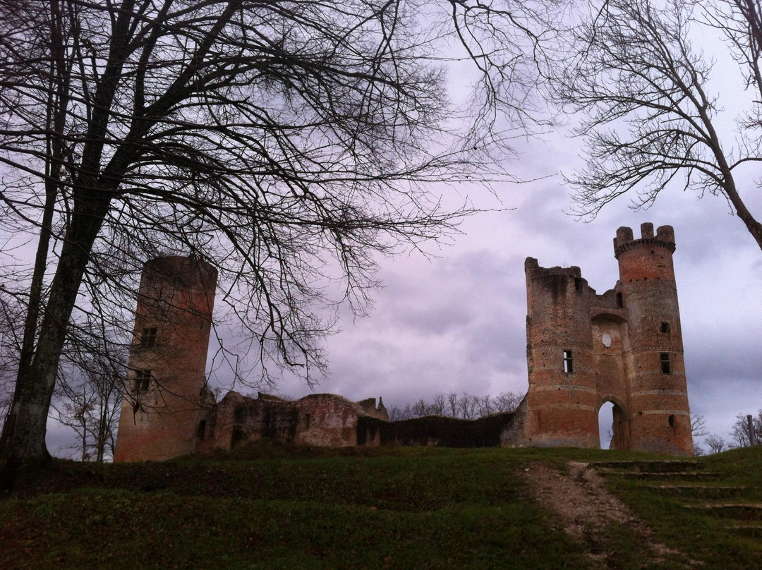 Chateau de Bressieux景点图片