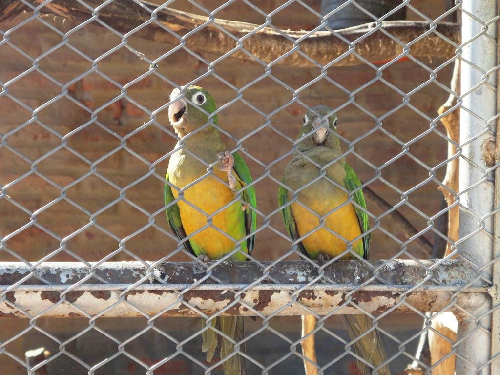 Parque Zoo-botanico da Caatinga-Petrolina必去景点