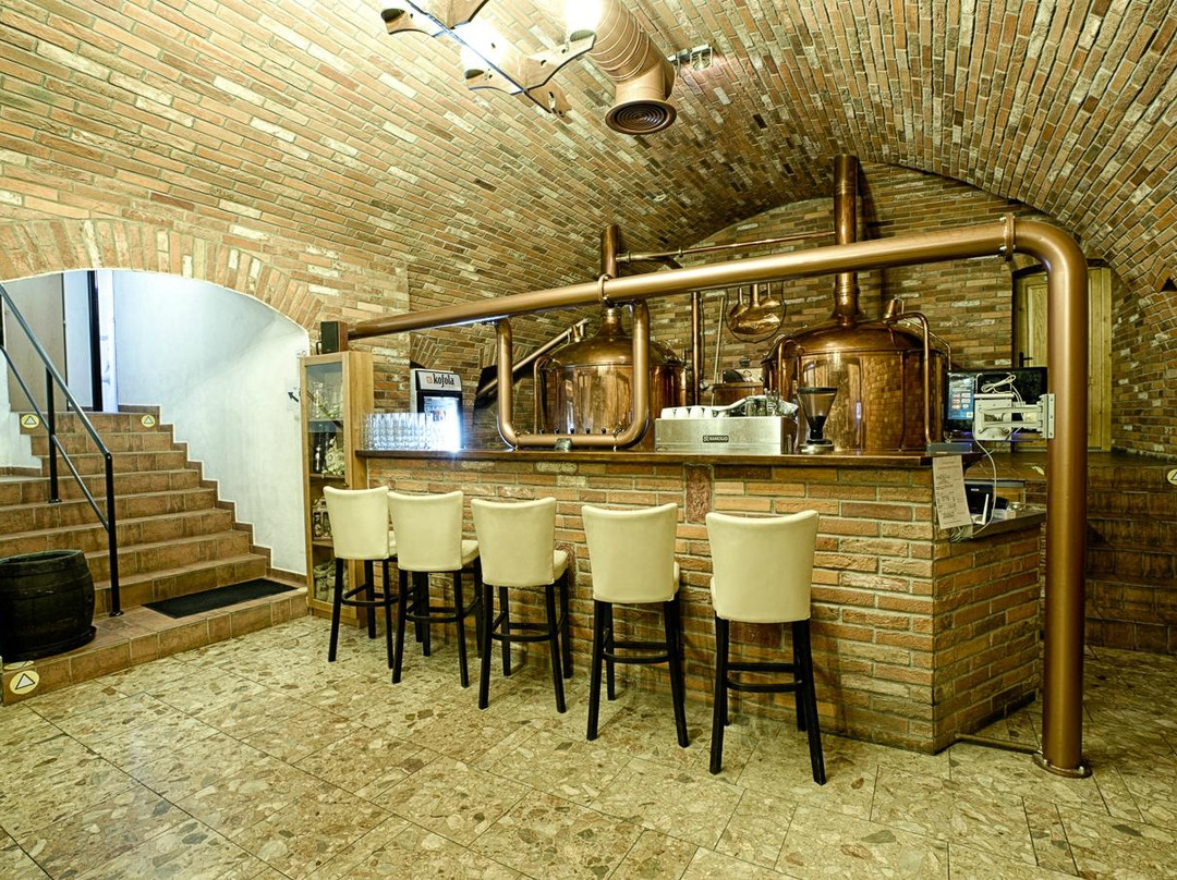 Jaslovske Bohunice餐馆和美食-Restauracia Sessler