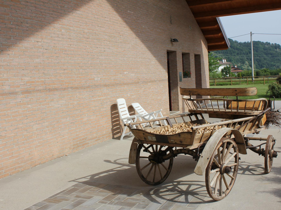Azienda Agricola Giovanni Dri景点图片