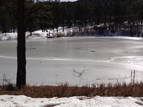 Pendaries Restaurant and Bar