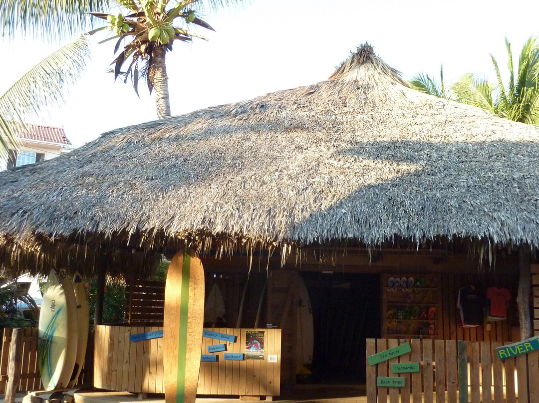 Coco Loco Surf Club景点图片