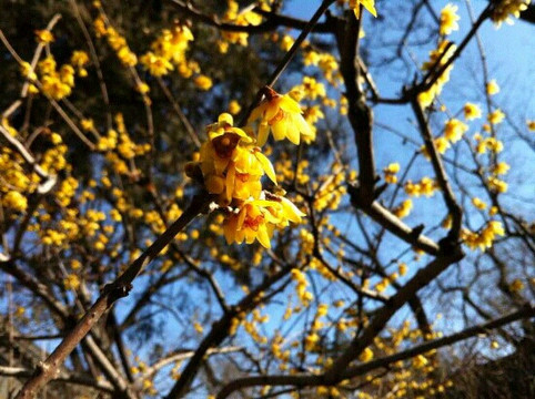 卧佛寺-北京市必去景点