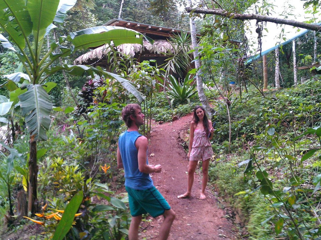 Finca Tierra景点图片