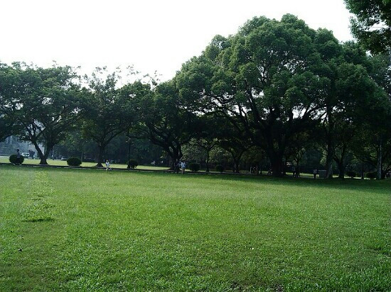 广州中山大学-广州市必去景点
