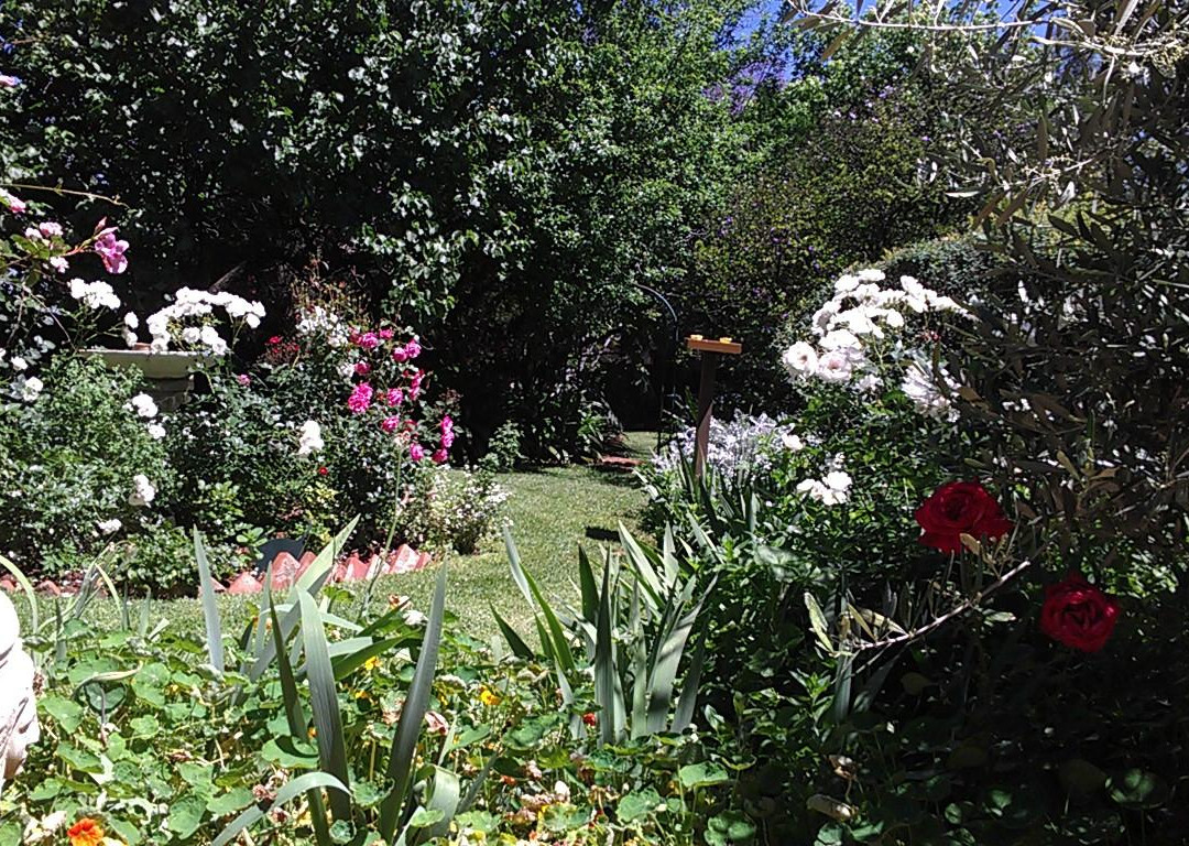 Abigail's B & B主图