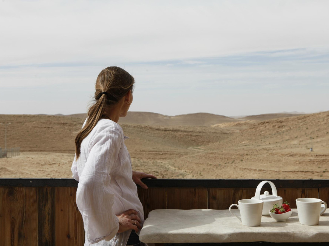 Desert Roof Top主图