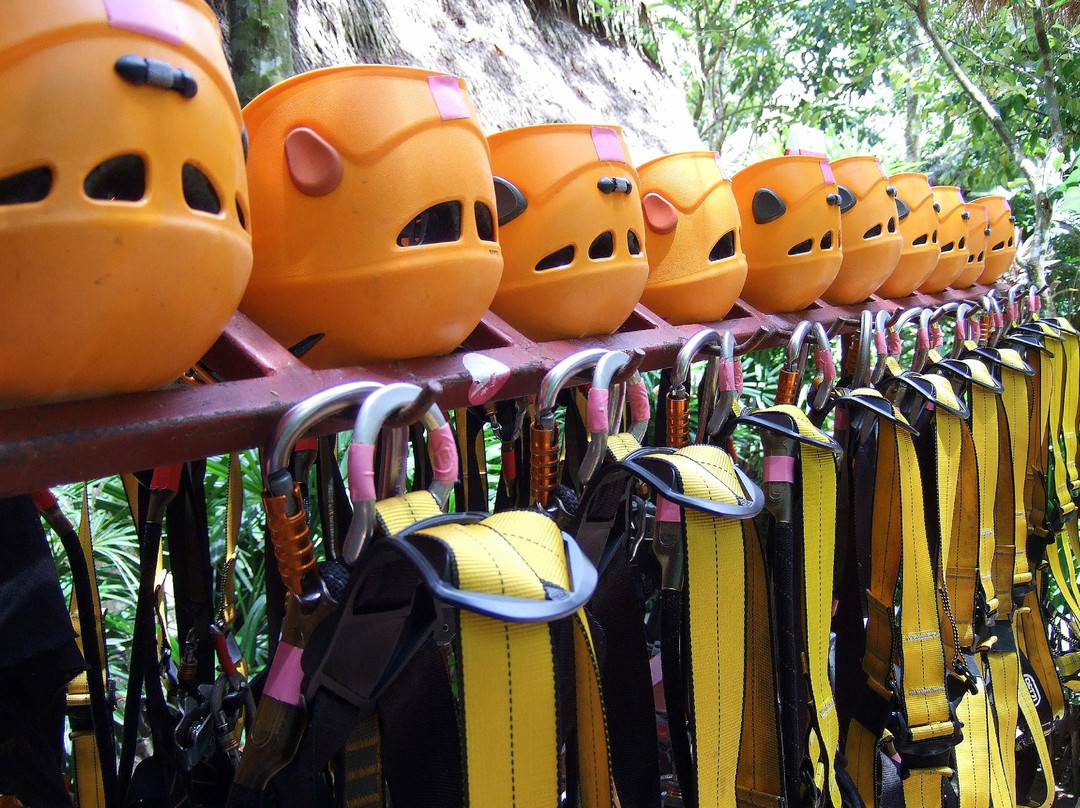 丛林飞梭-卡图必去景点