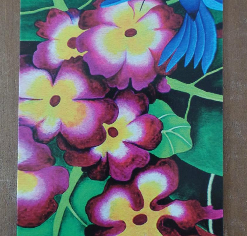 Monteverde Art House景点图片