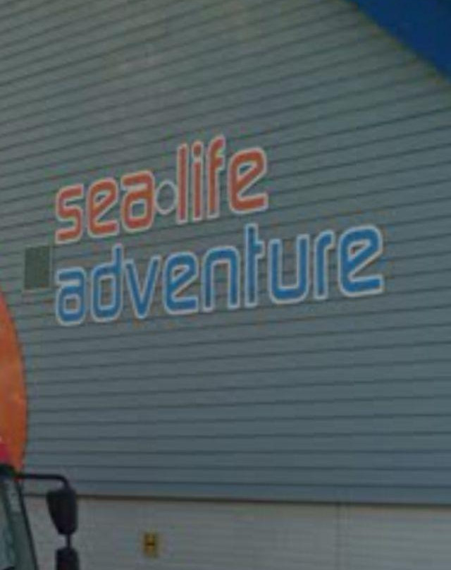 Sealife Adventure景点图片