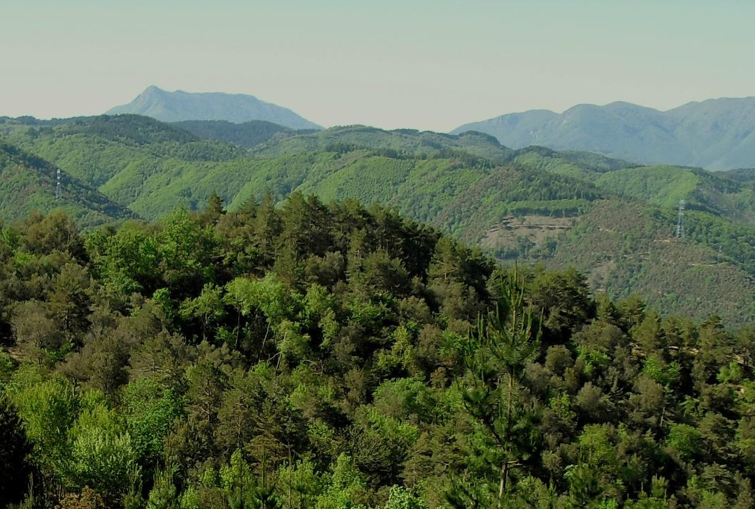 Casa Sant Andreu de Bancells主图