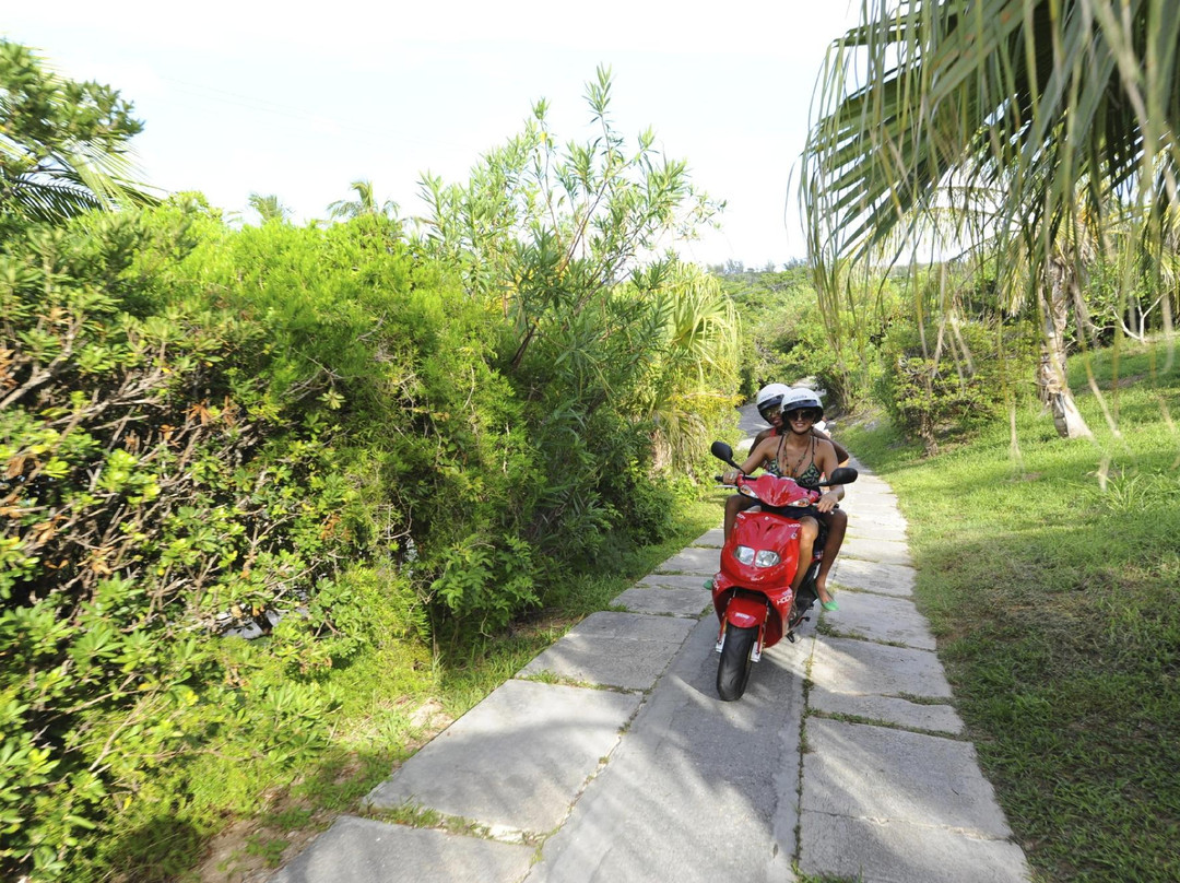 Elbow Beach Cycles-佩吉特教区必去景点