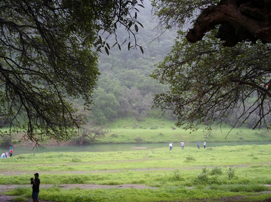 Best Shore Trips Salalah-塞拉莱必去景点