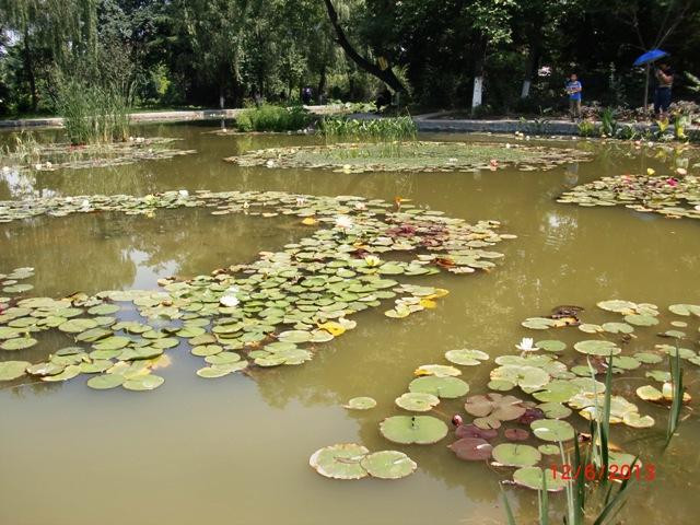 西安植物园-西安市必去景点