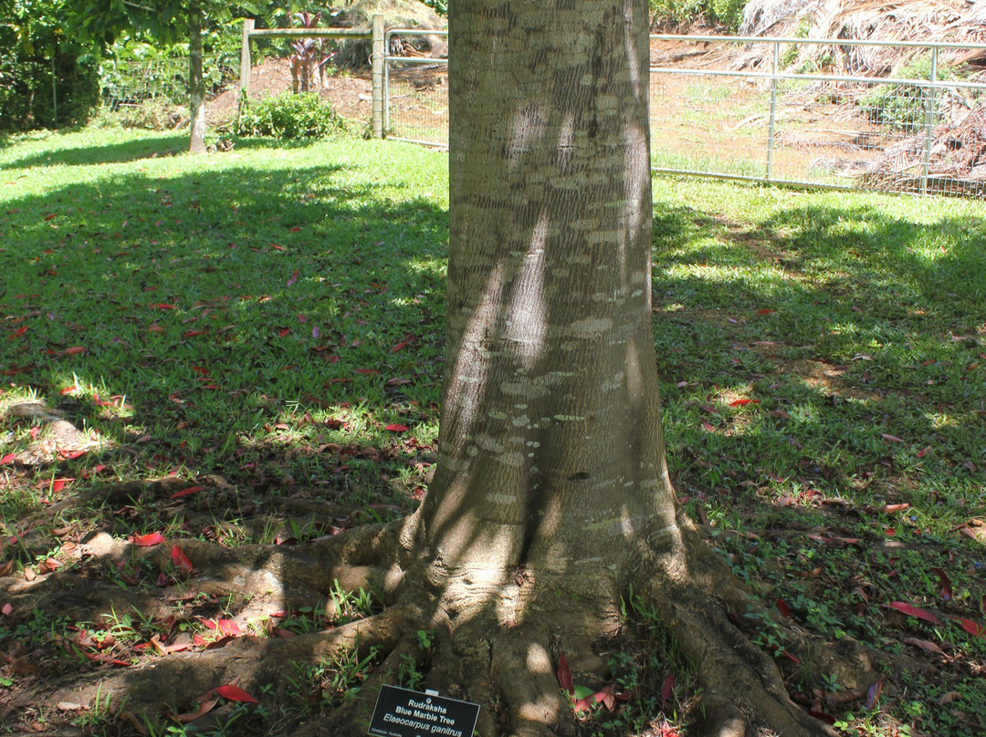 Kauai Island Experience-普林斯维尔必去景点