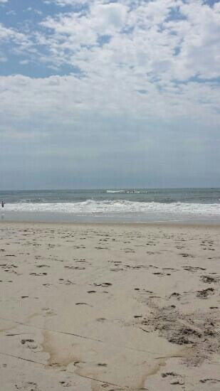 Robert Moses State Park景点图片