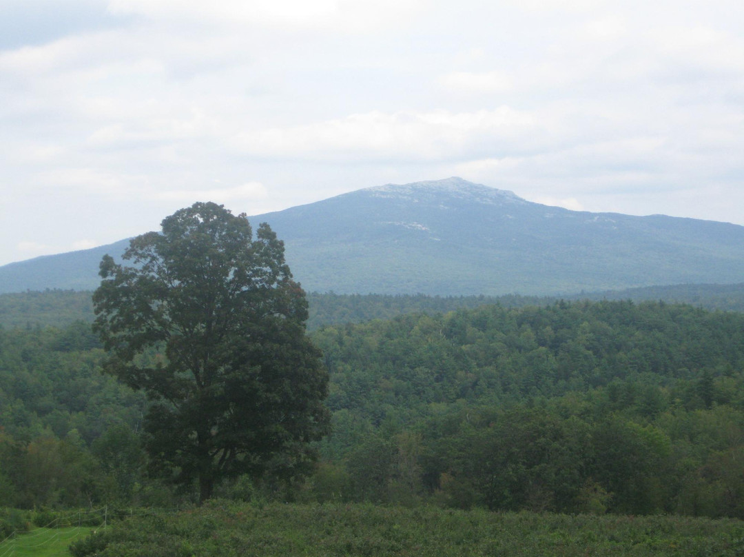 Monadnock Berries景点图片