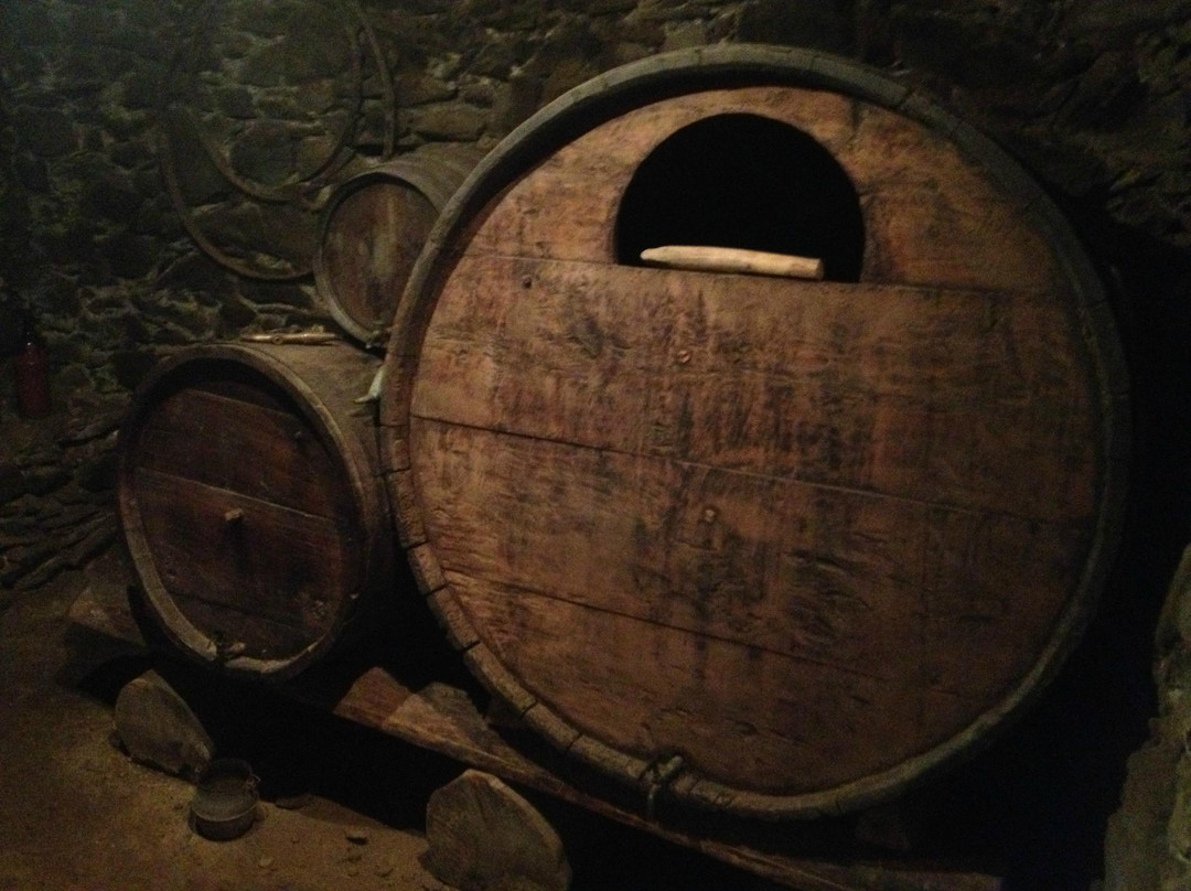 Museu Casa Rull-西斯伯尼必去景点