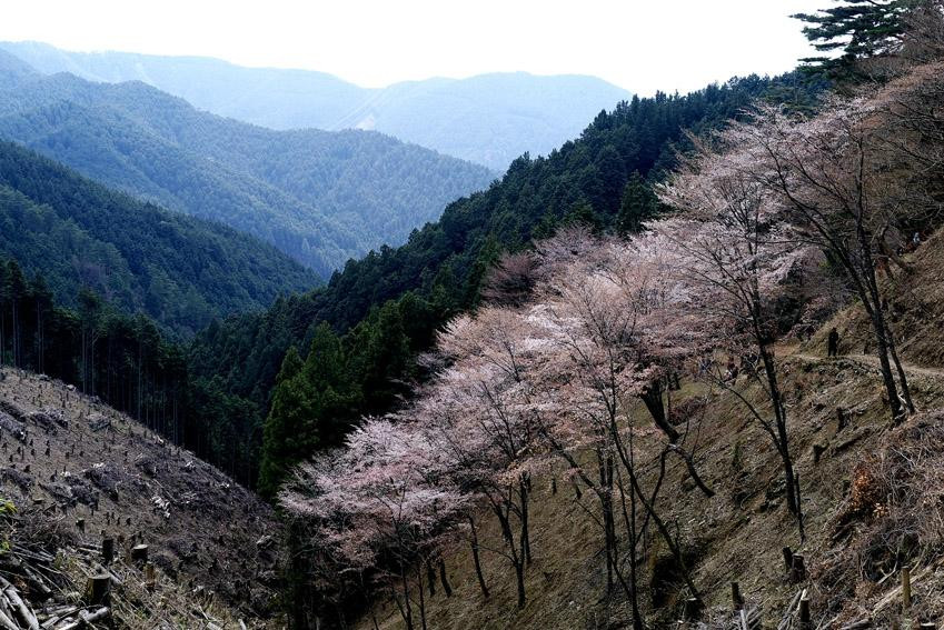 Yoshino-奈良县必去景点
