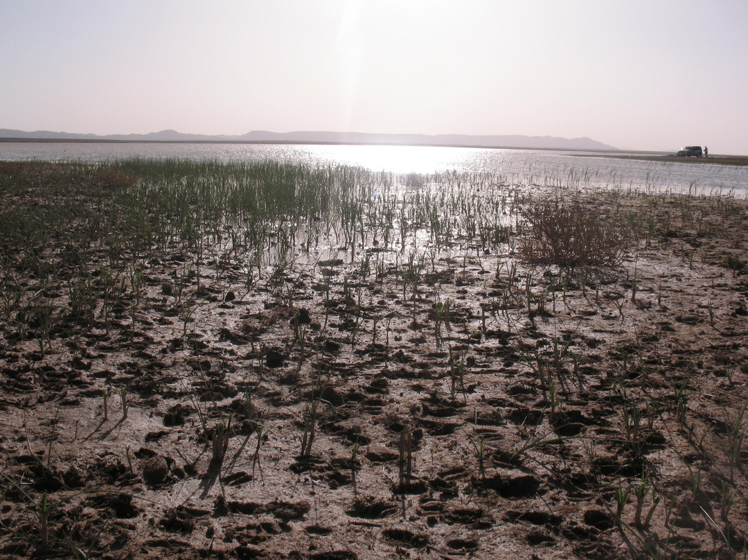Berbere Experience Day Tours-梅如卡必去景点