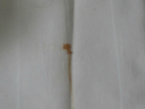 星海琪假日酒店主图