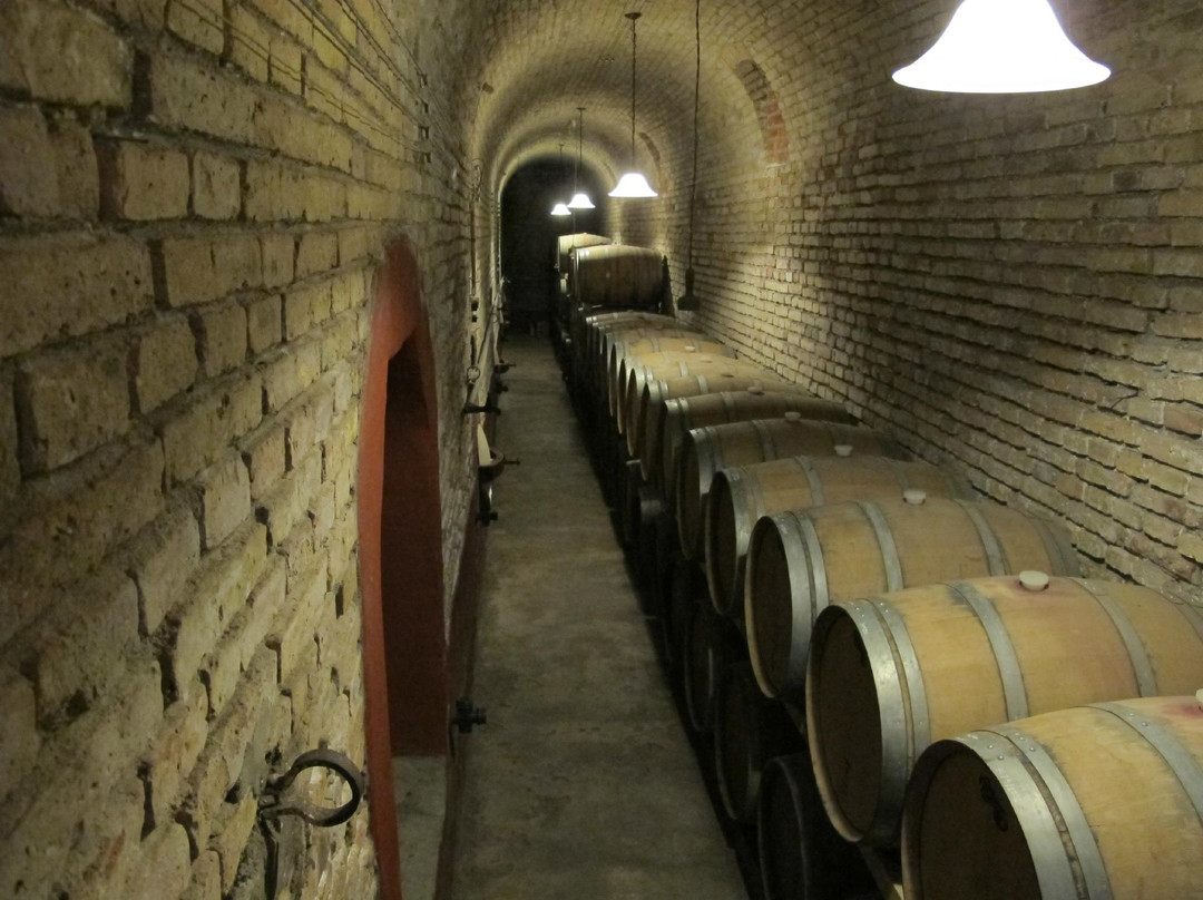 La Abeja Winery-圣拉斐尔必去景点
