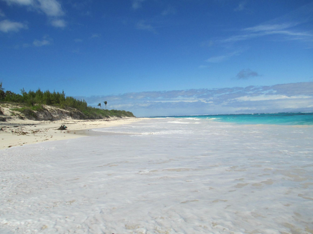 Oceanview Farm-Governor's Harbour必去景点