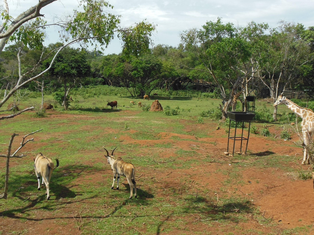 Uganda Wildlife Conservation Education Centre景点图片